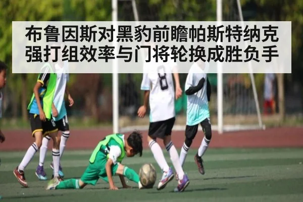 布鲁因斯对黑豹前瞻帕斯特纳克强打组效率与门将轮换成胜负手